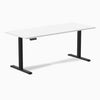 Electric single stand up desk white - Desky