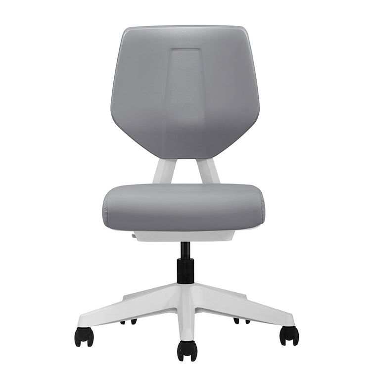 desky ergonomic adjustable task chair