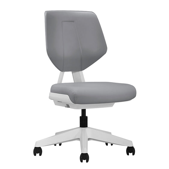 desky adjustable taskj chair